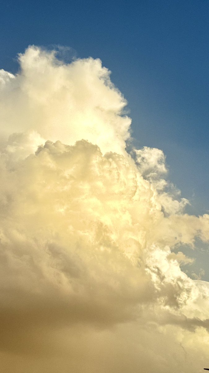 عبدالعزيز tweet media