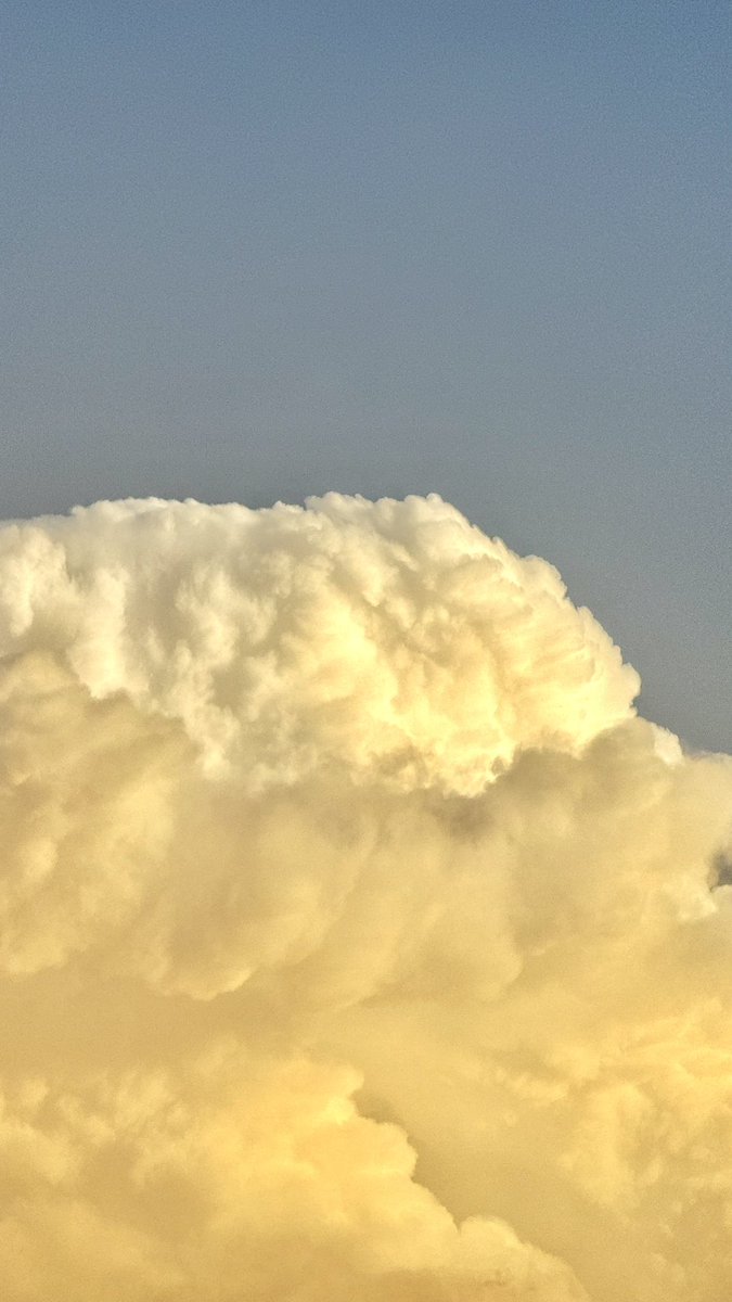 عبدالعزيز tweet media