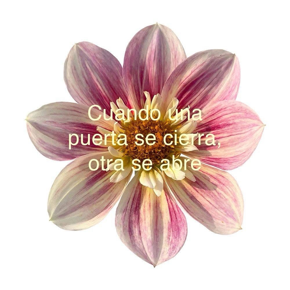 bauldefrases (@suspirxsalaire) on Twitter photo 