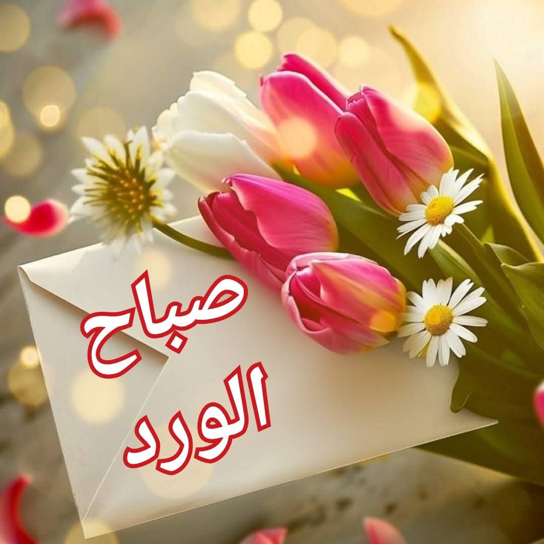 yr93130's tweet photo. @muna_alD @dzwocgqKbrzFxaR https://t.co/zWYX24ffja