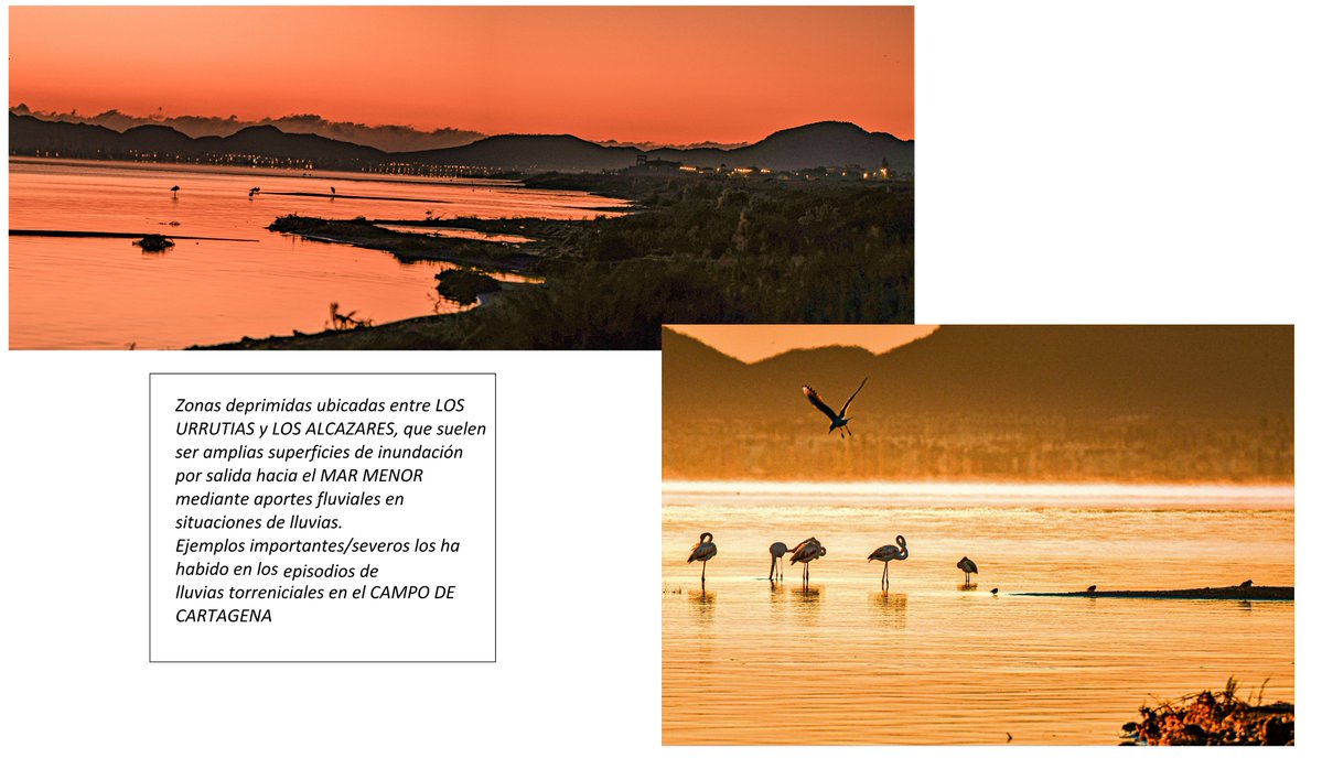 JOSE M.SERNA GARCIA tweet media