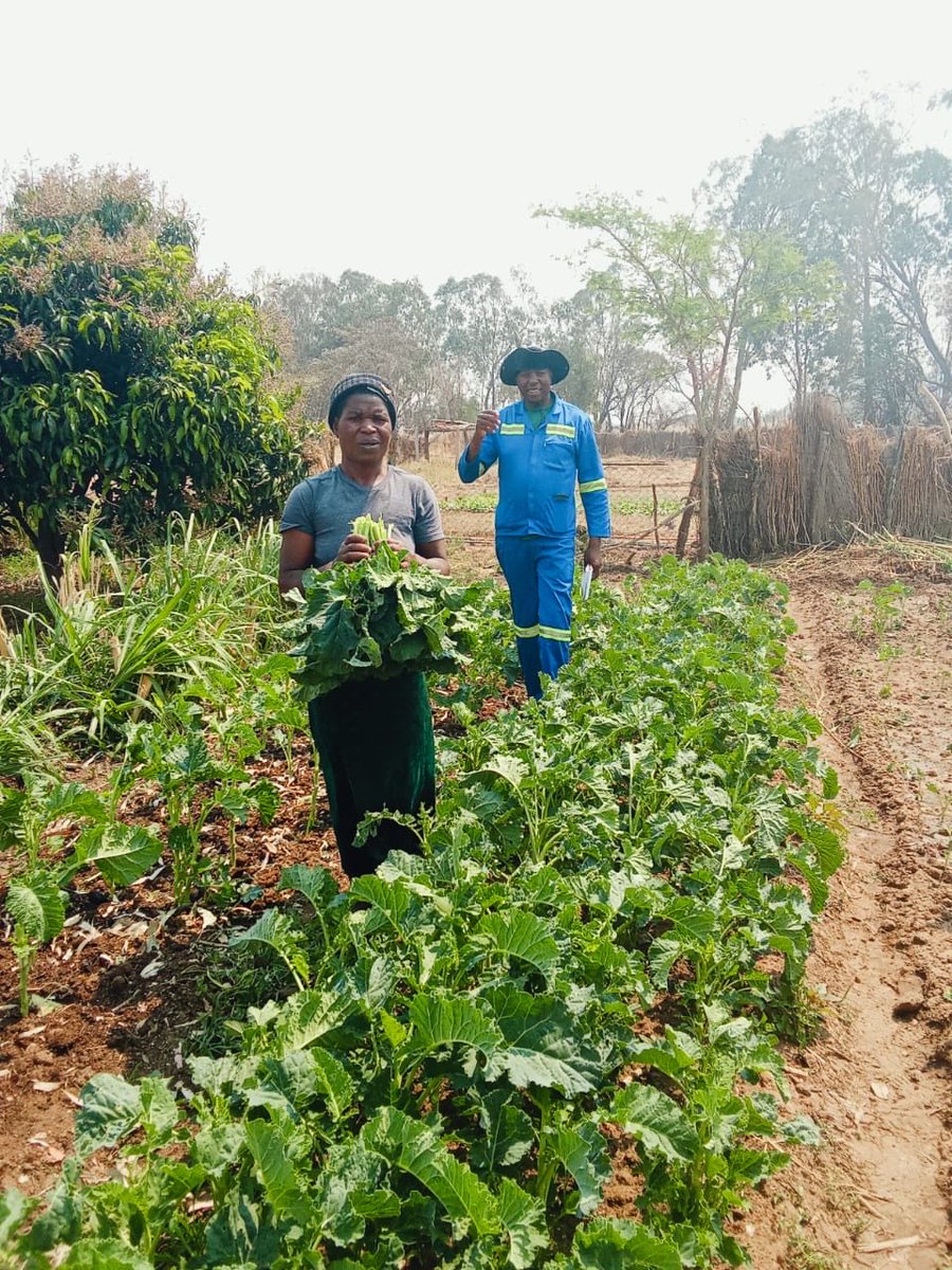 FOST Zimbabwe tweet media