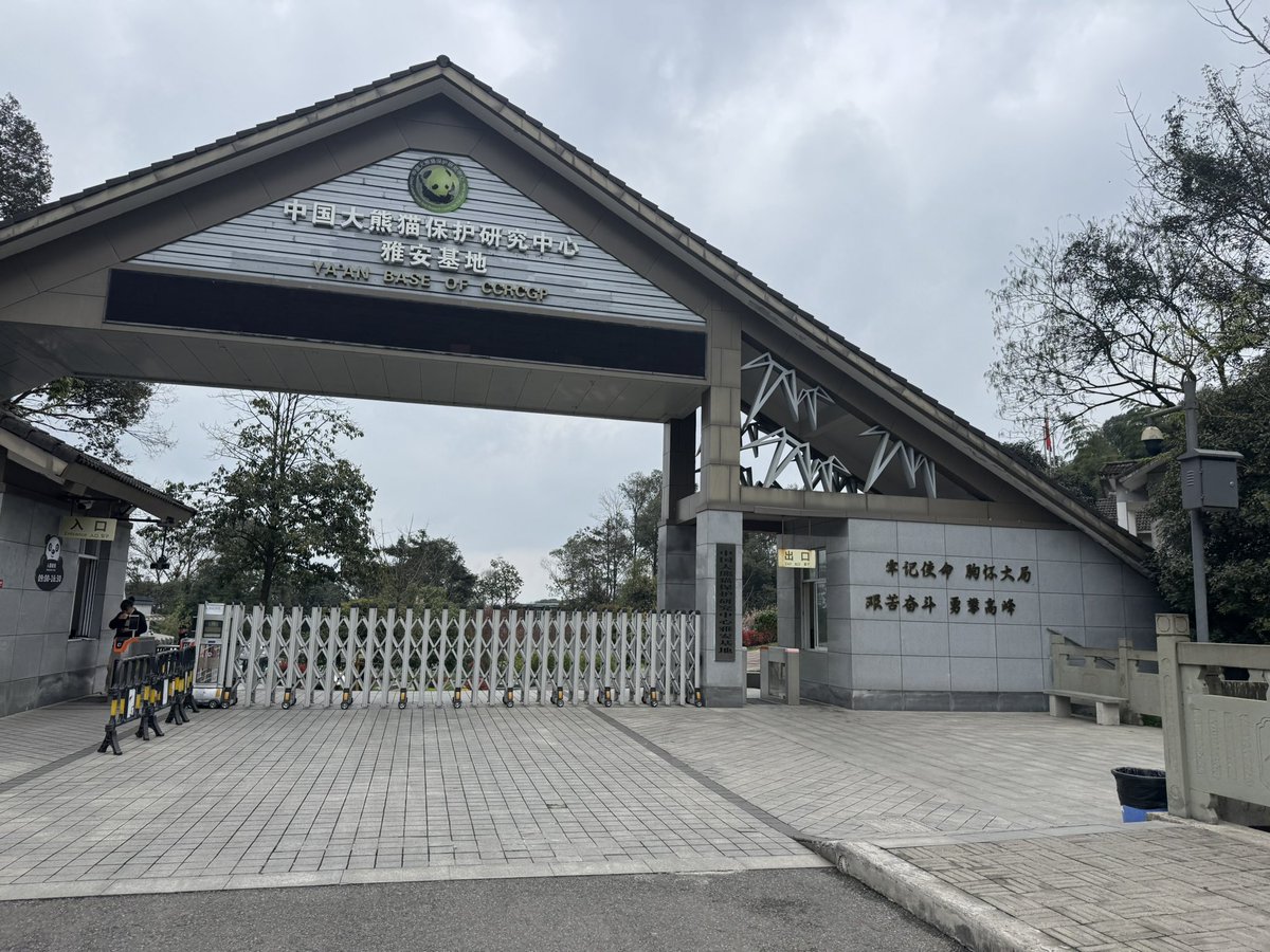 毎日パンダ tweet media