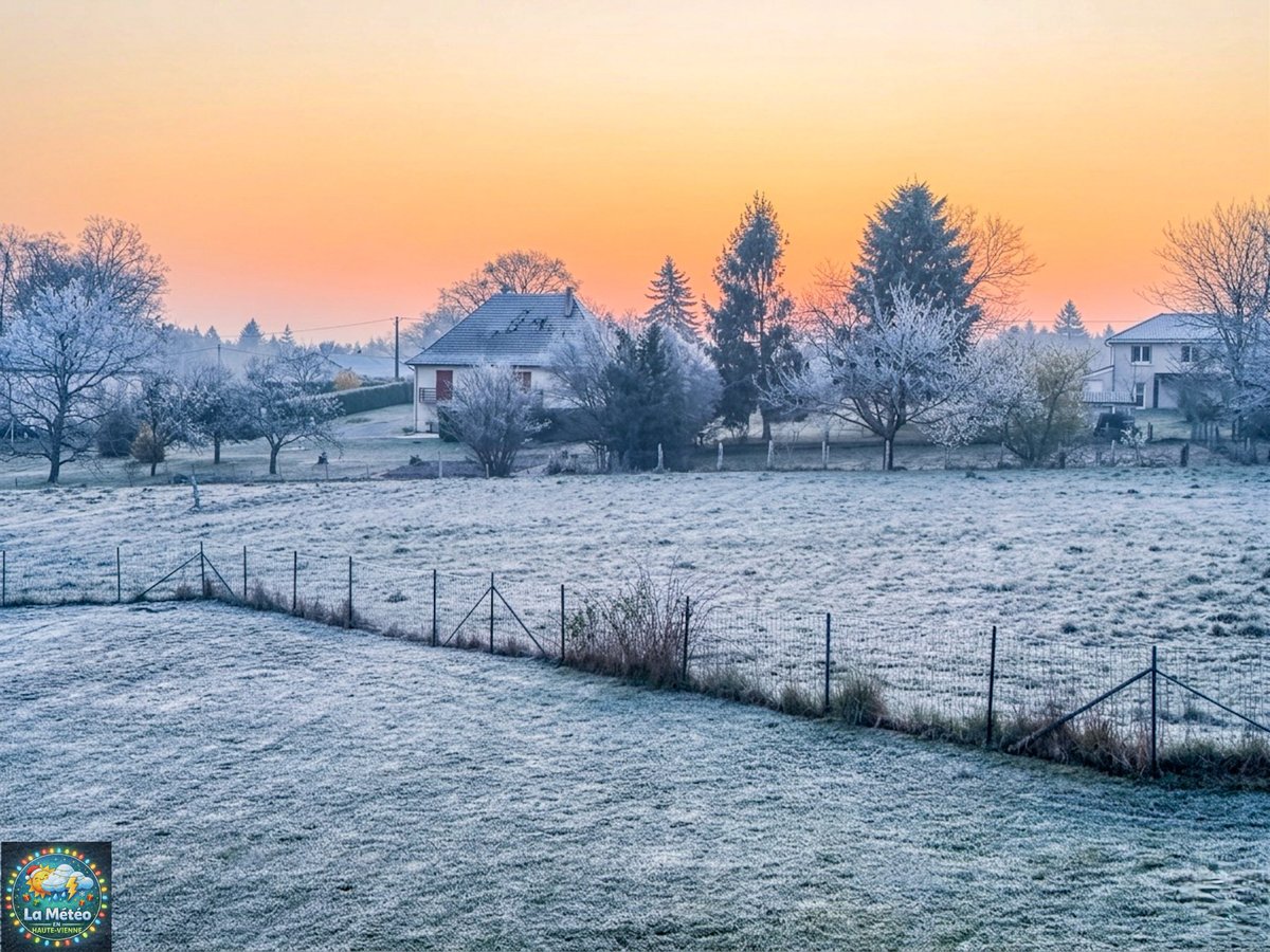 Clément tweet media