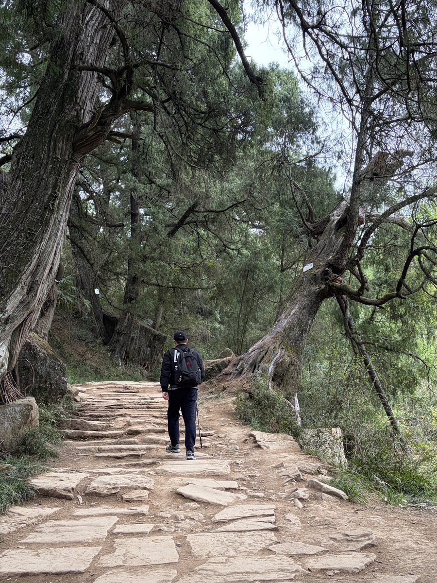 小熊饼干 . SOL⛵ tweet media