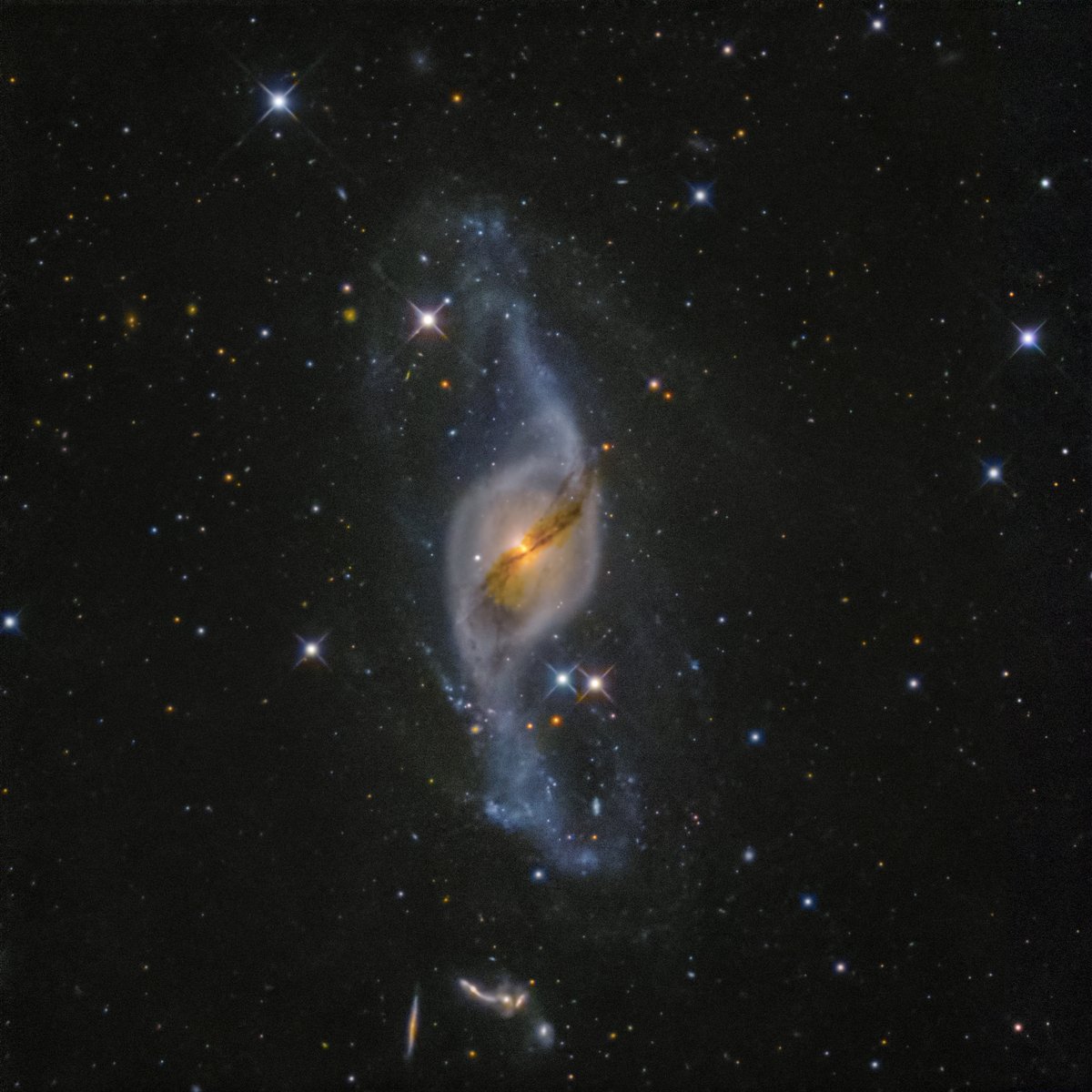 ぴんたん tweet media