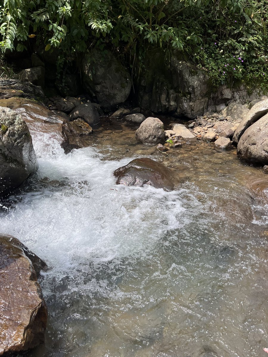 nayiyo 🍎 tweet media