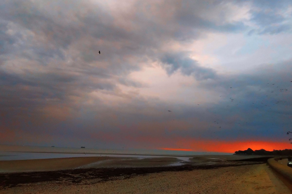 Wayne Whittle tweet media