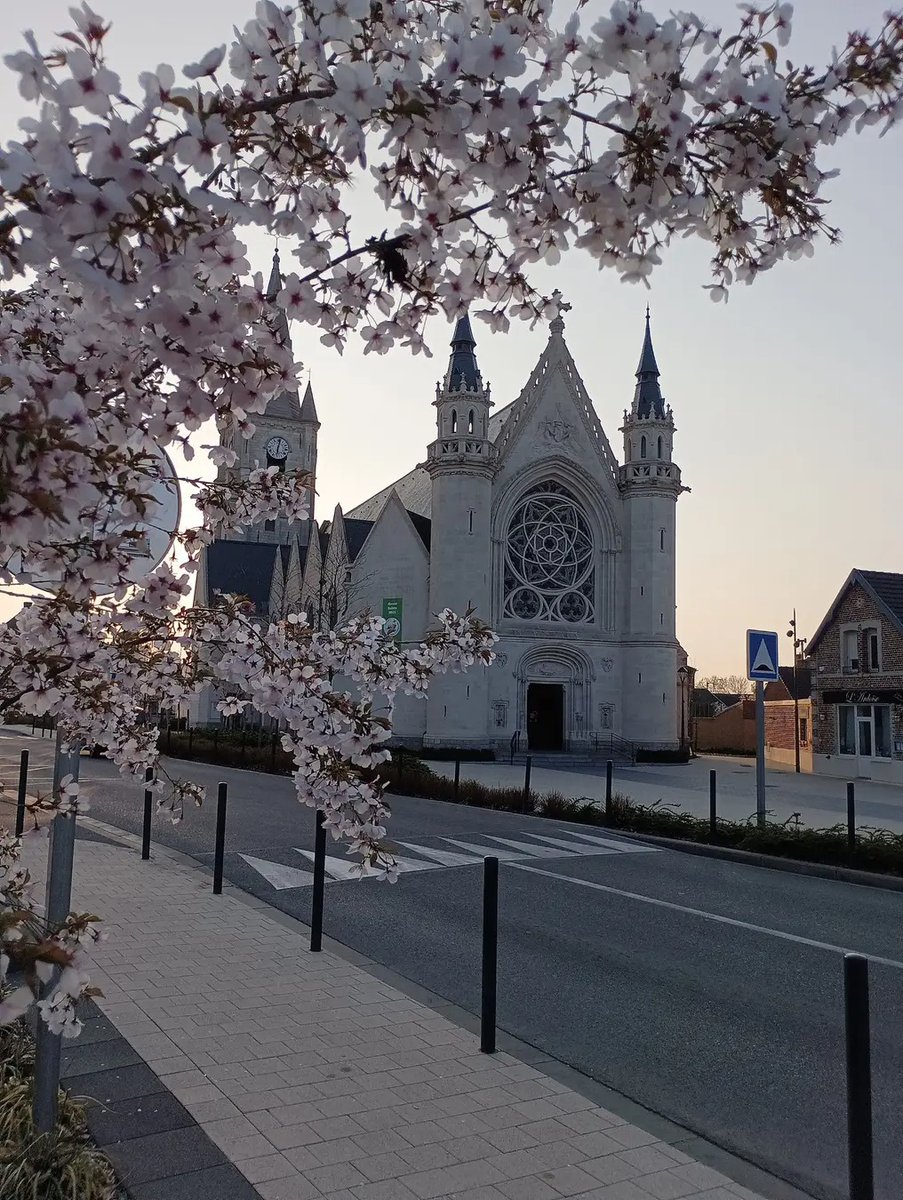 🇨🇵 LUCKAS (Lulu) 🇨🇵 tweet media