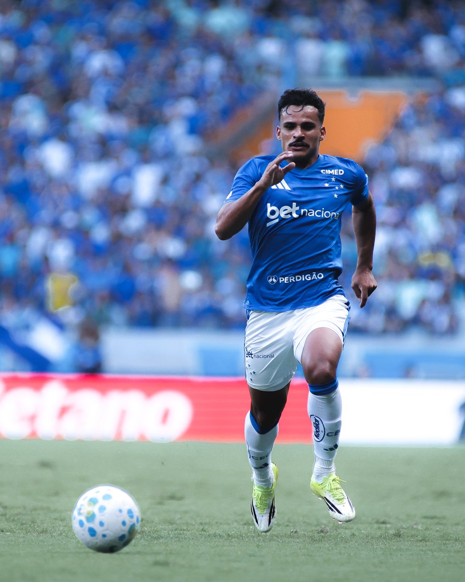 Ginga Bonito 🇧🇷 tweet media