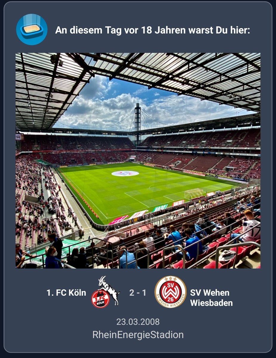 Lea📯🦆 tweet media