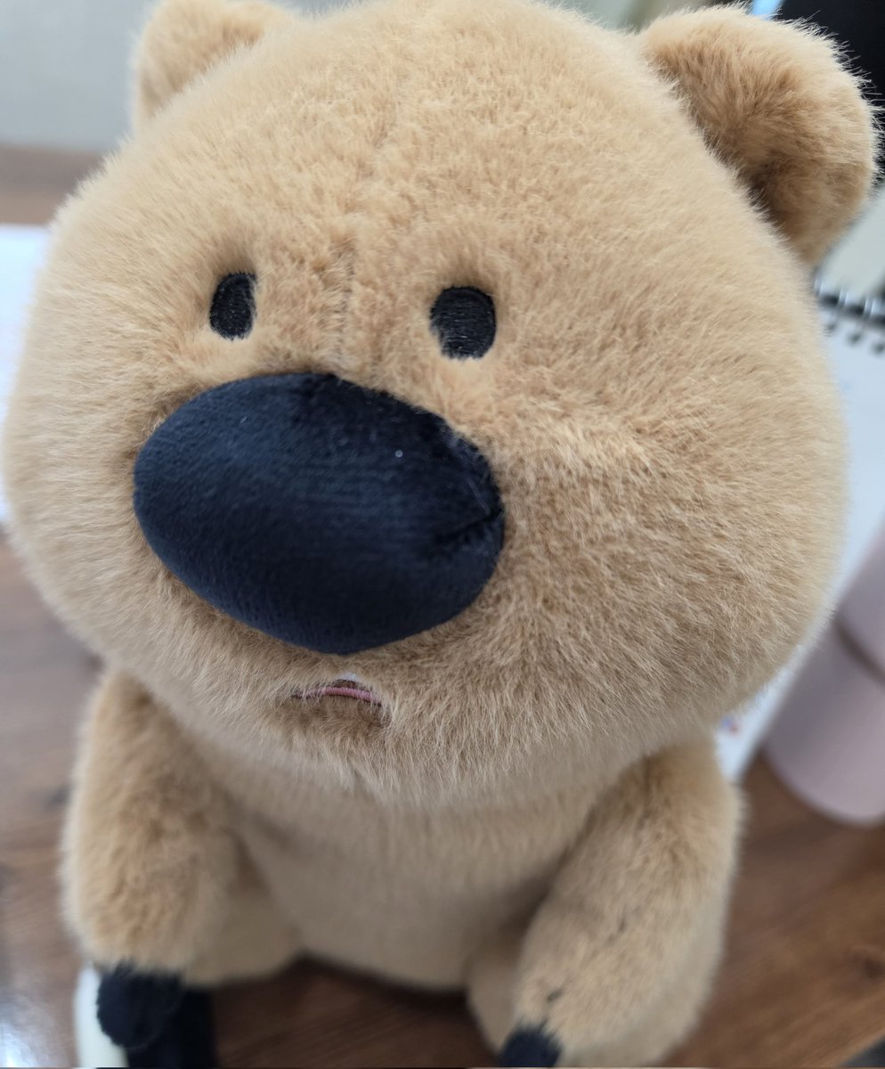 카스타드🧈 tweet media