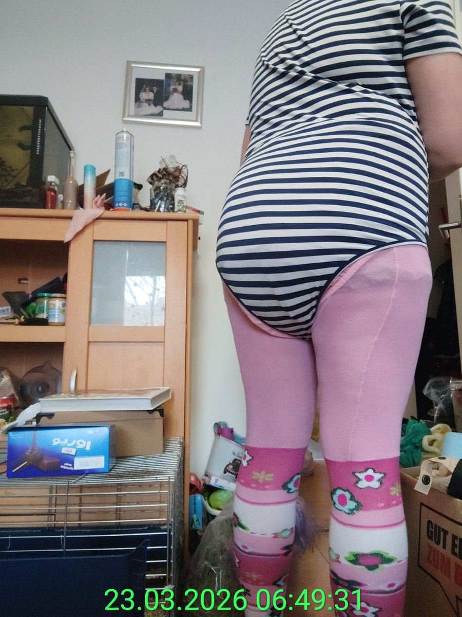 Baby Toto tweet media