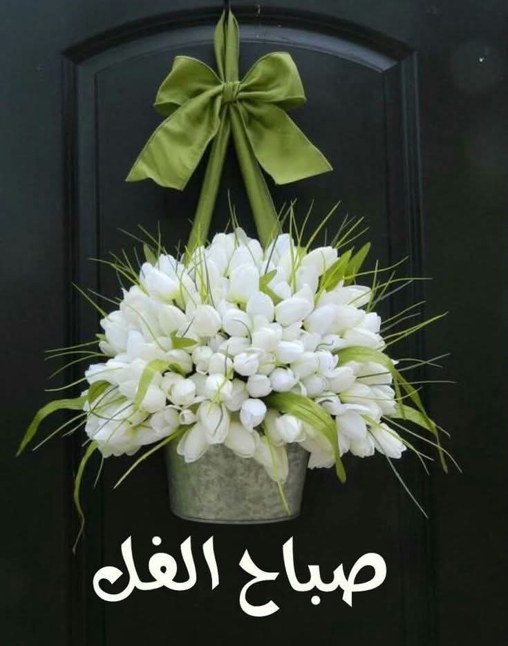 khiralla busaq tweet media