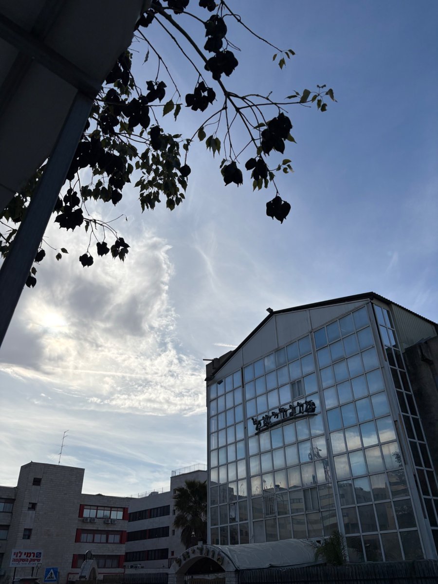 אייר tweet media