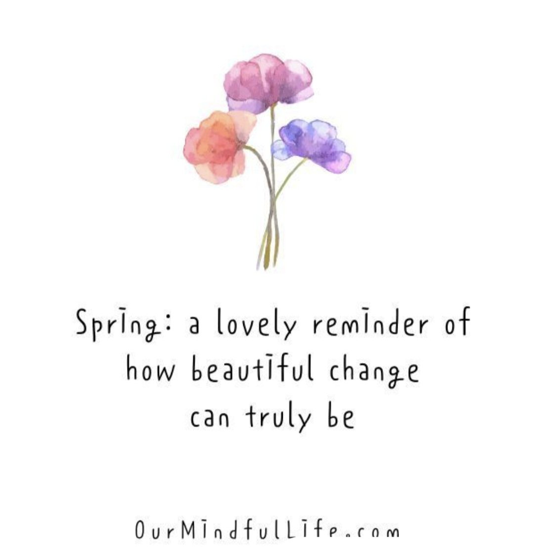 ReachSupportCIC tweet media