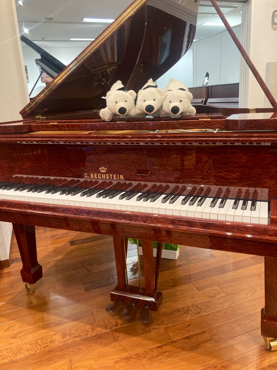 ベヒシュタイン・セントラム東京 tweet media