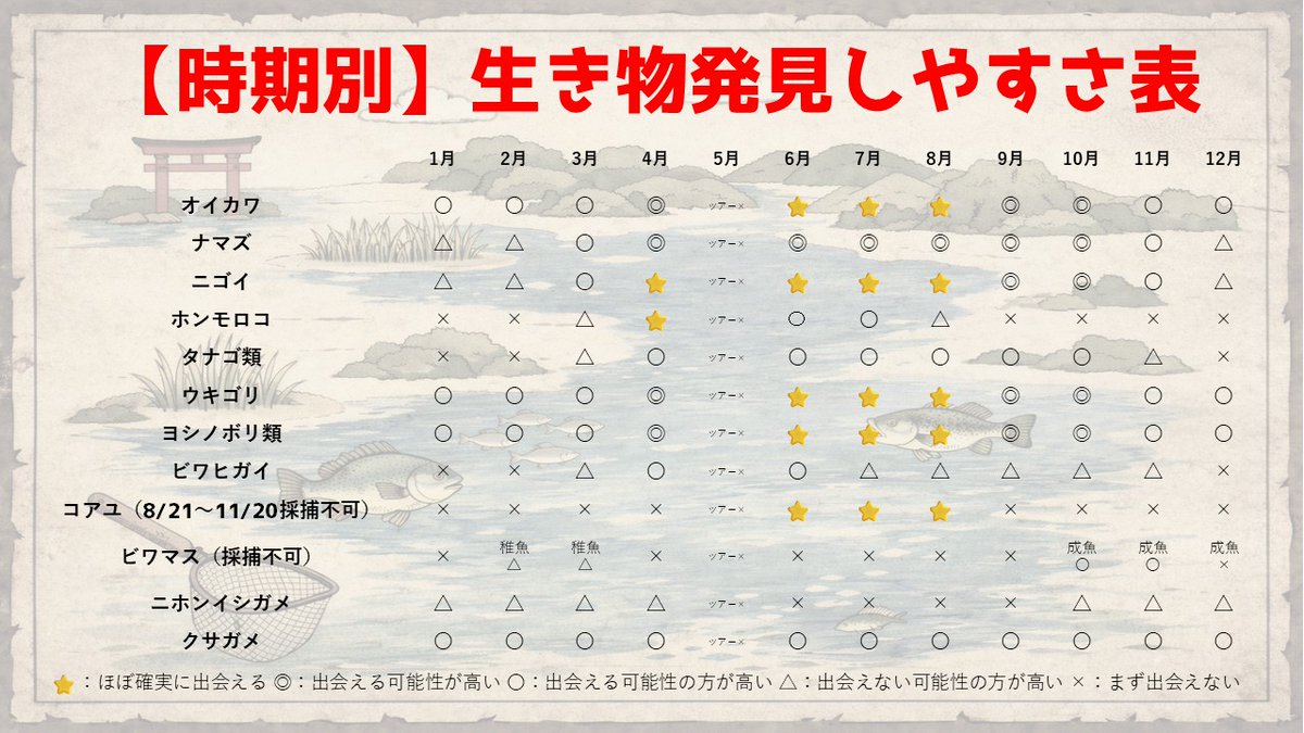マーシーの獲ったり狩ったり tweet media