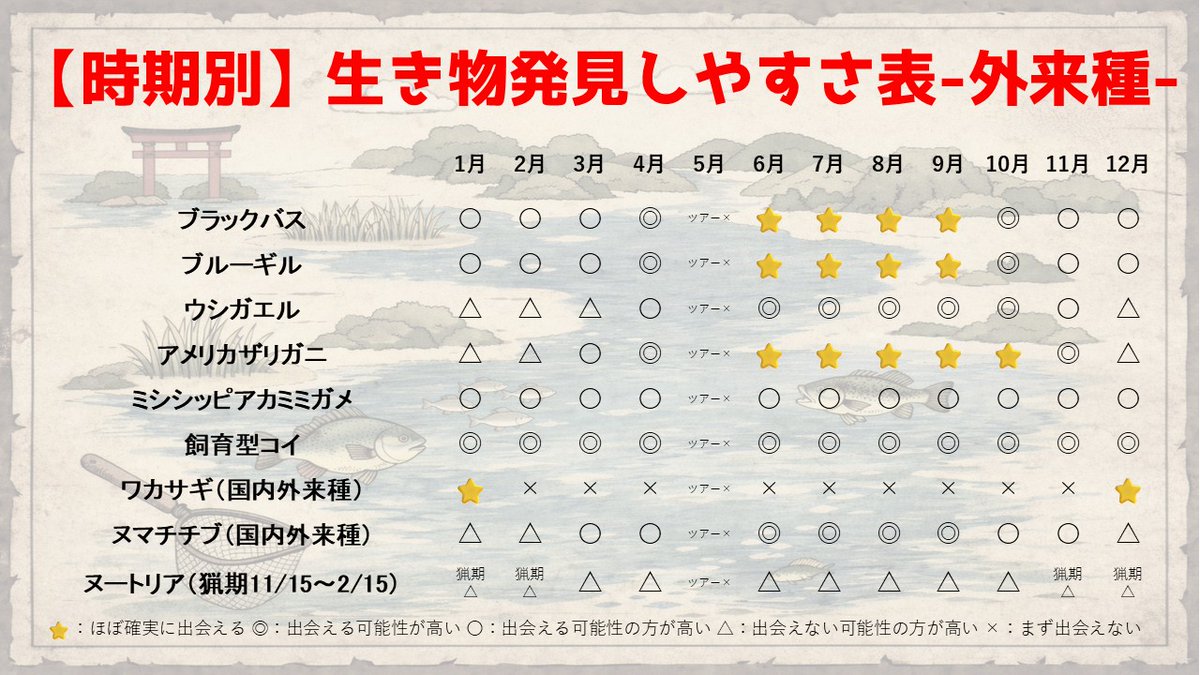 マーシーの獲ったり狩ったり tweet media