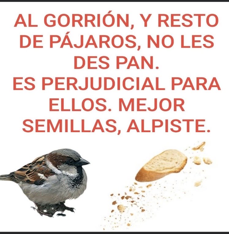 Col. Independencia ABJ tweet media