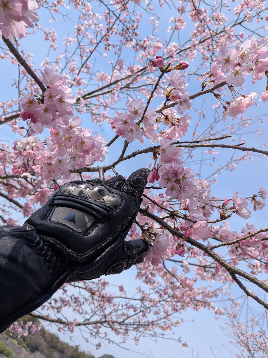 🍖ライ🍗 tweet media