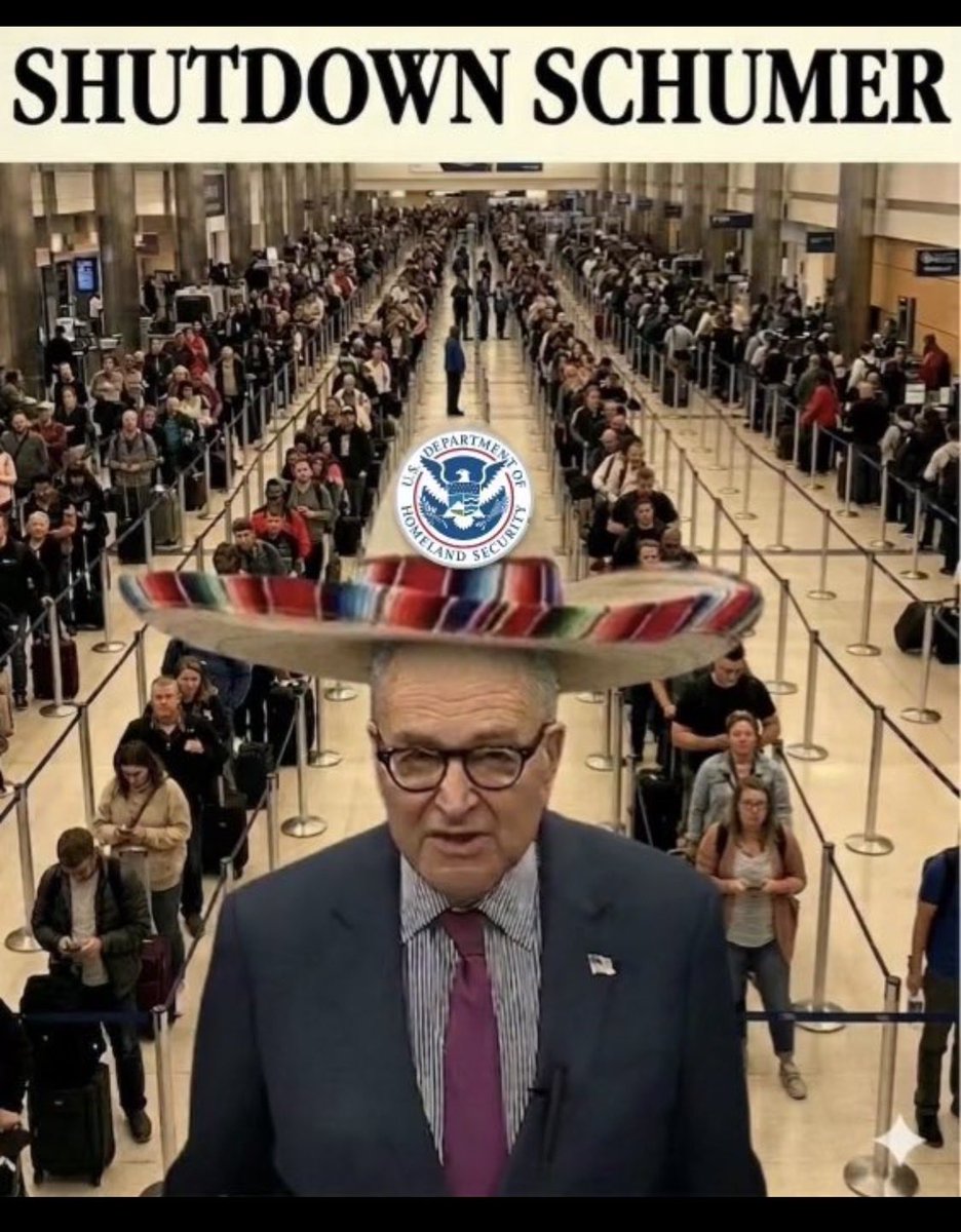 Holly Hulu tweet media