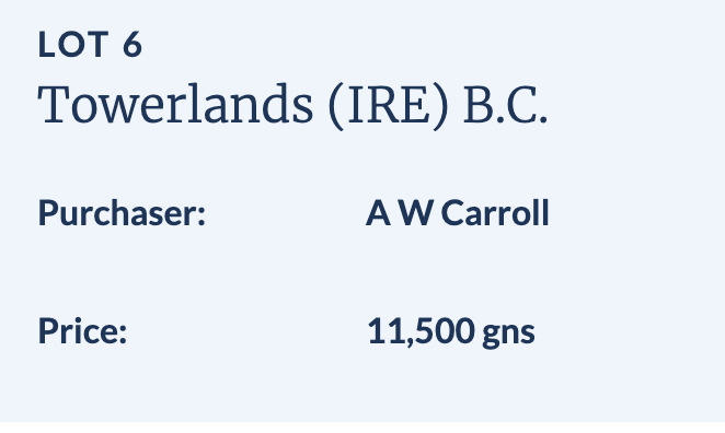 𝑭𝒊𝒏 𝑷𝒐𝒘𝒓𝒊𝒆 tweet media