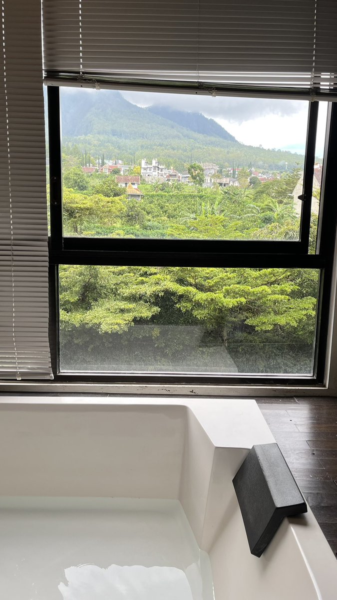 カニヤ🍏🌼 tweet media