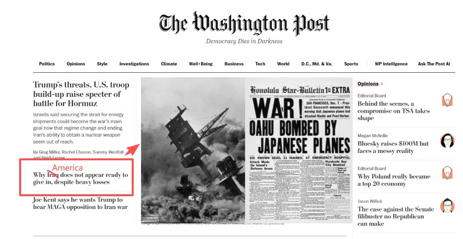 波士顿圆脸 Boston Round Face tweet media