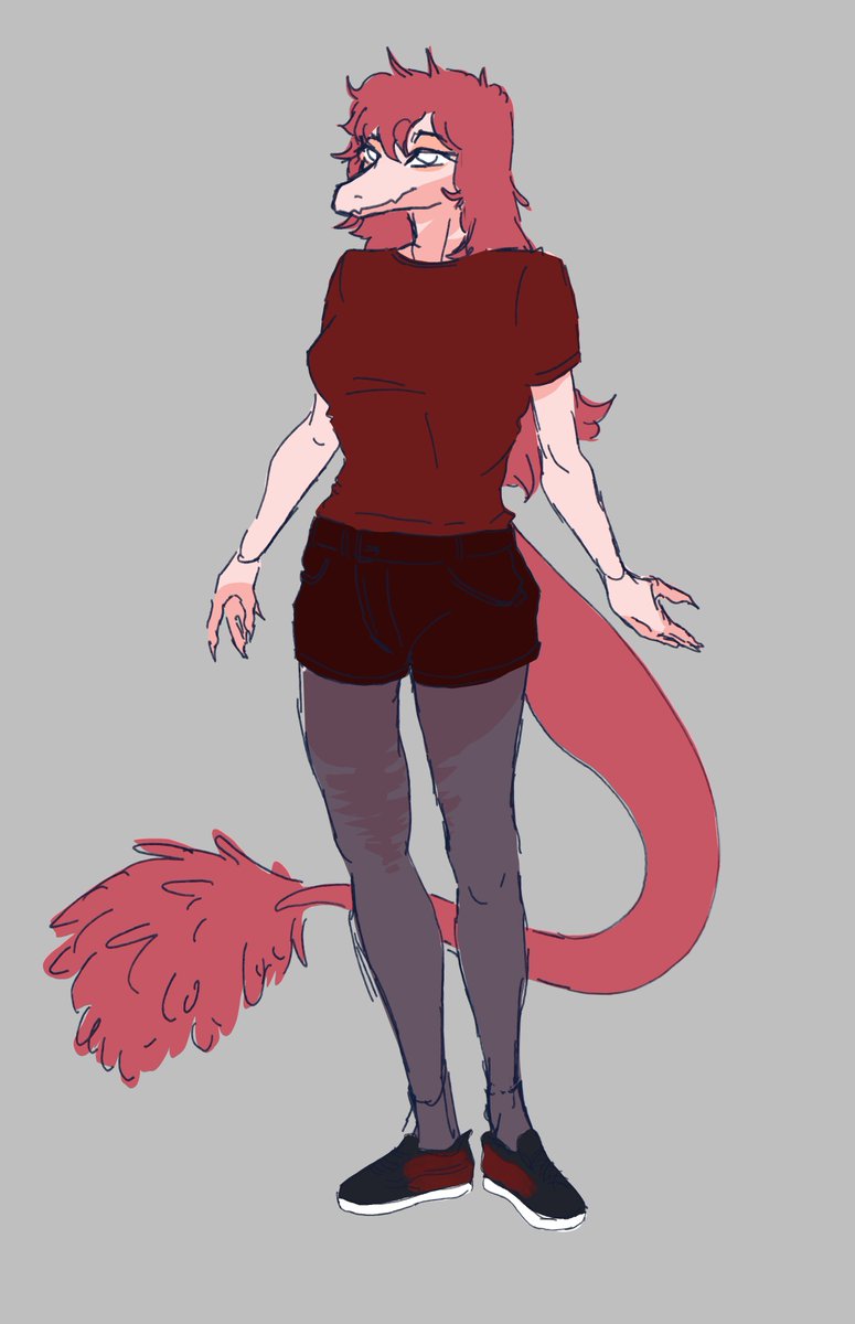 MOrko_POlo (COMMS OPEN) tweet media