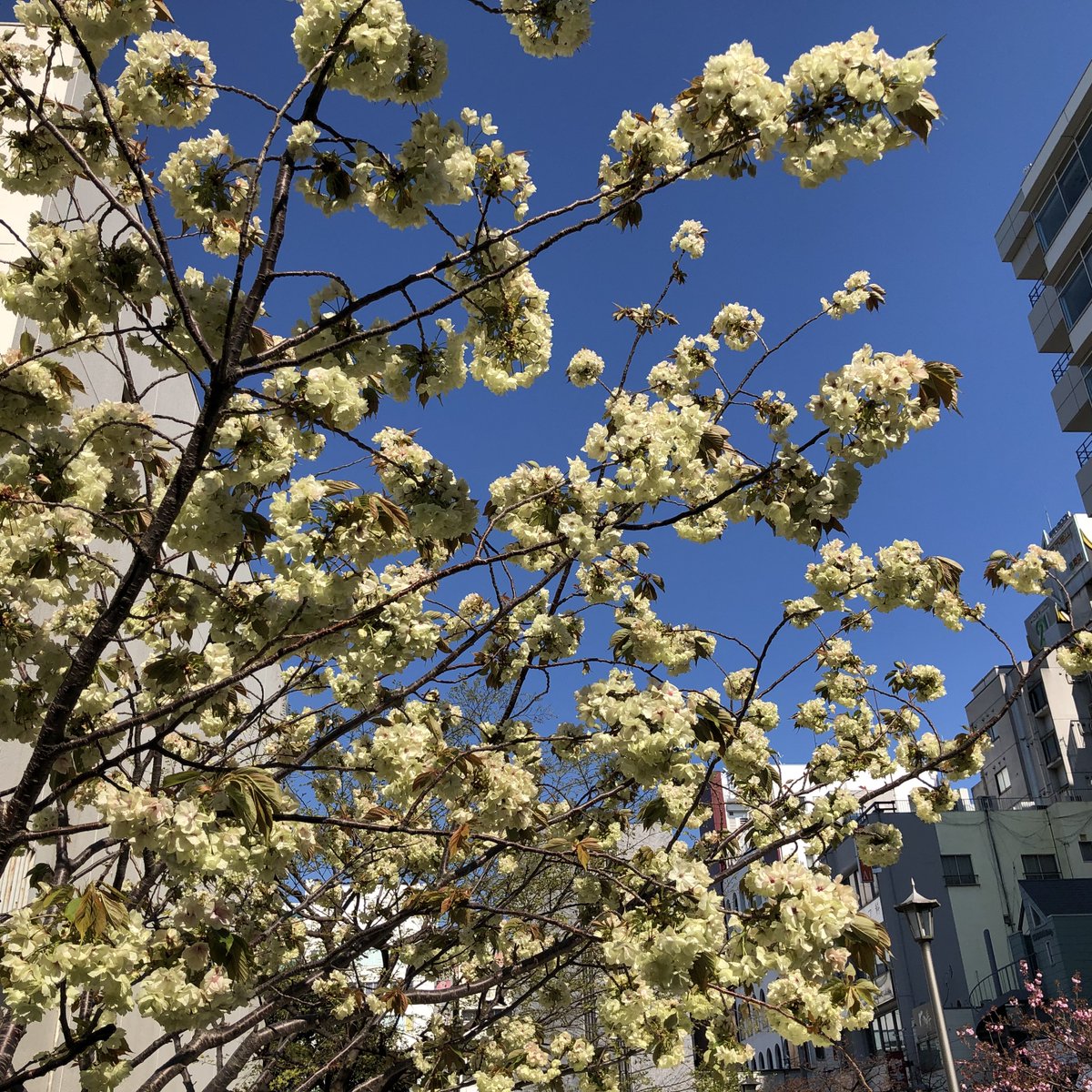 ヒロモリ tweet media