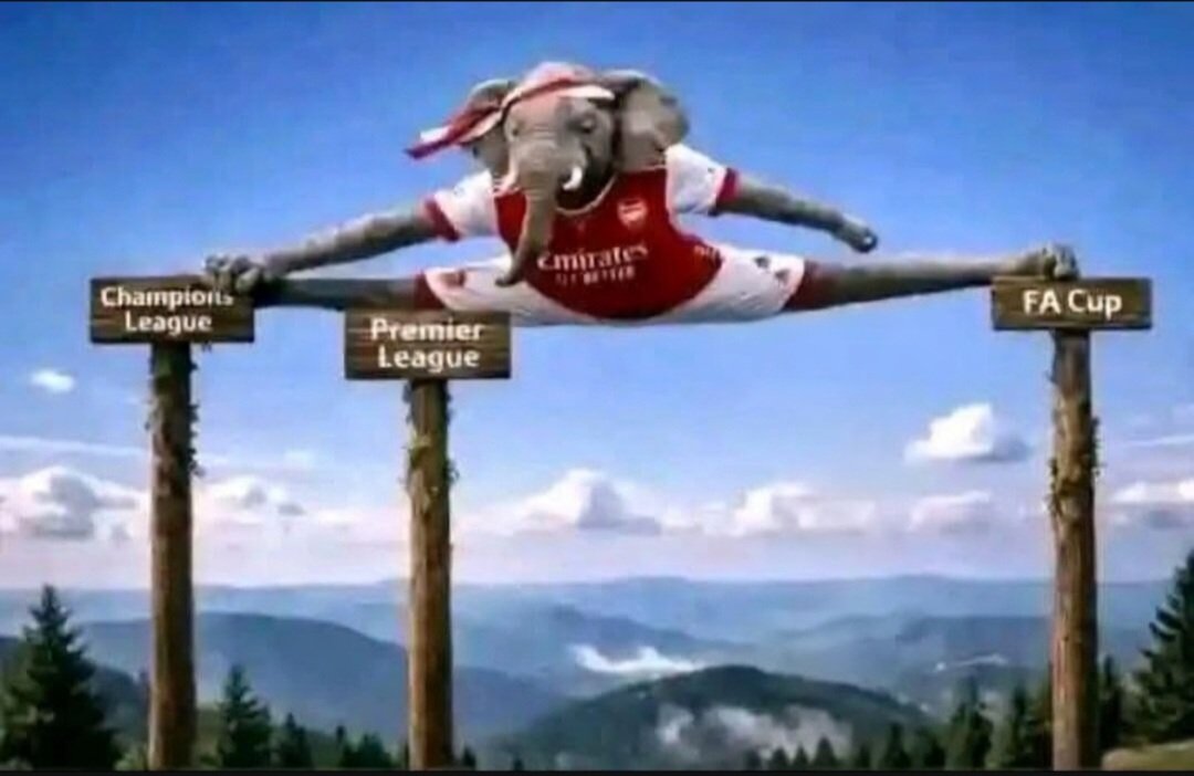 gonnersblood tweet media