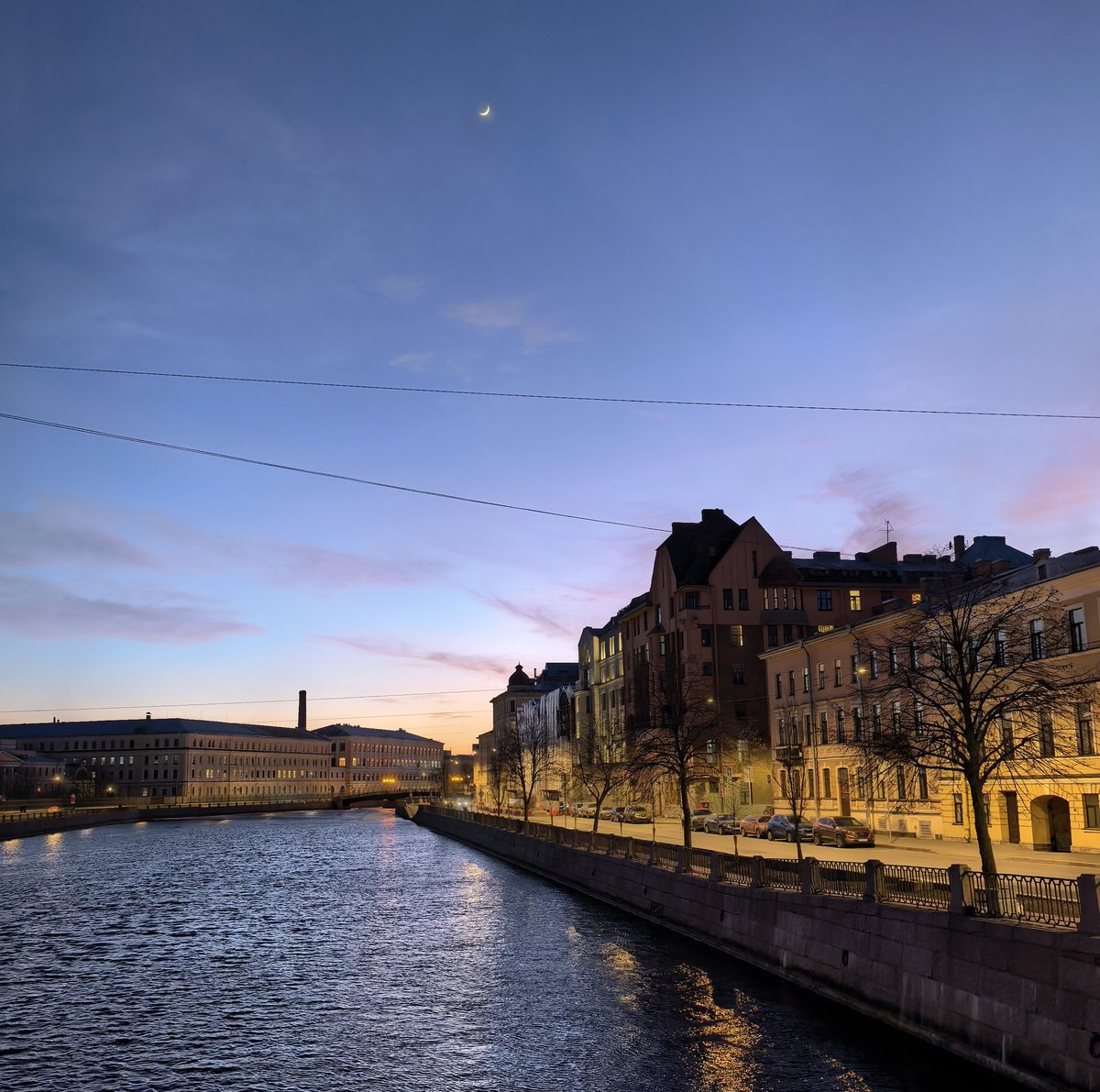 Токсичные ёжики, злой грешный карась и коза хаоса tweet media