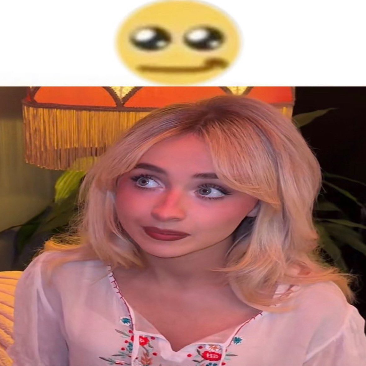 ri ☽ ⋆🐾⋆ tweet media