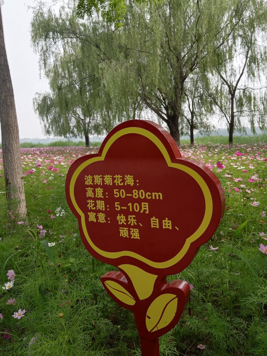 mauricio camargo tweet media