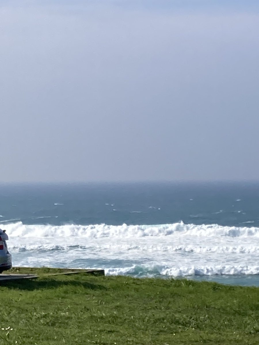 Puri Ramírez tweet media