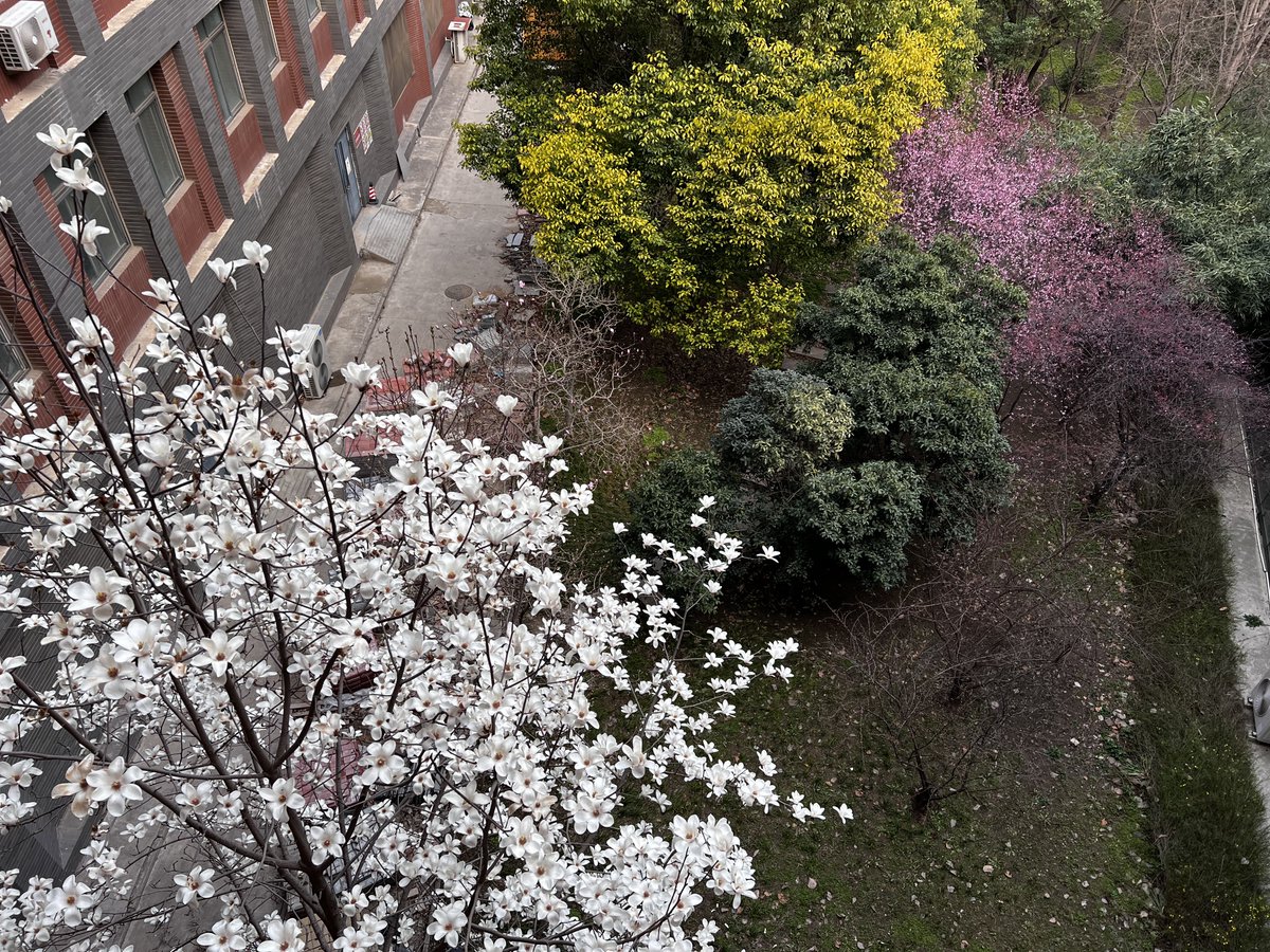 Pascal Reed tweet media