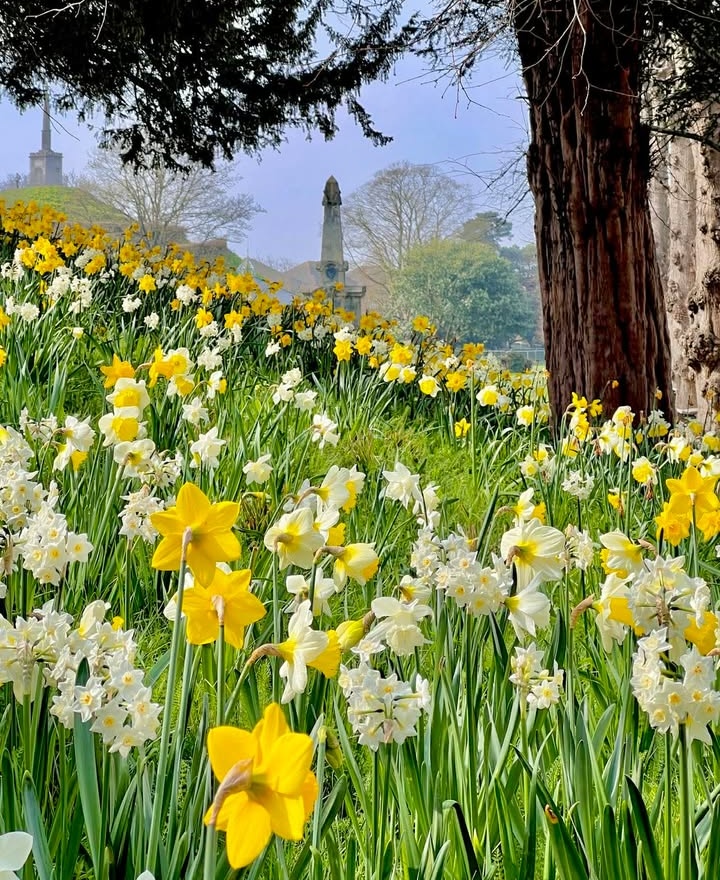 BBC Kent tweet media