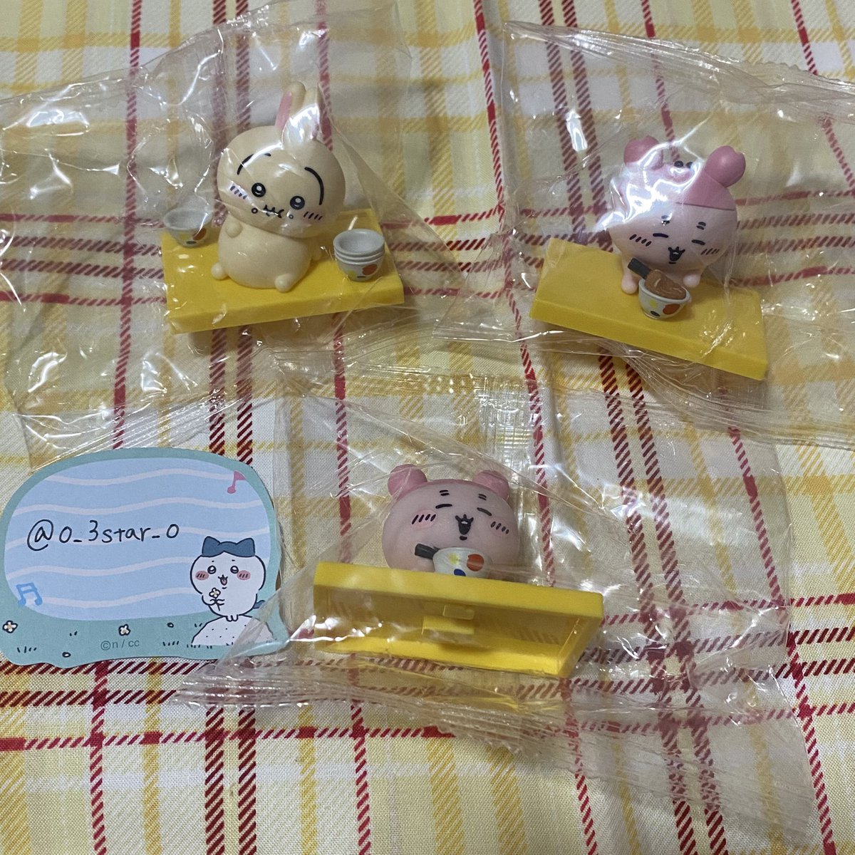 おもちわわ🐶🌼 tweet media