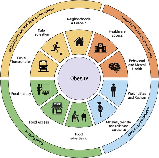 Obesity and Endocrinology tweet media