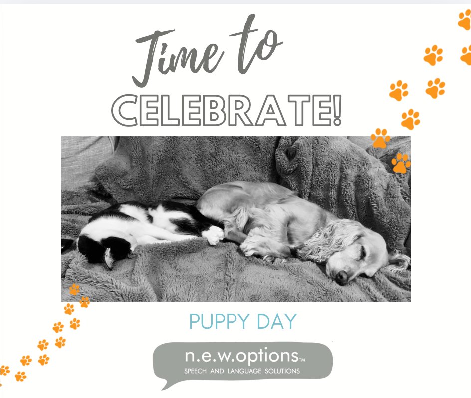 N.E.W. Options tweet media