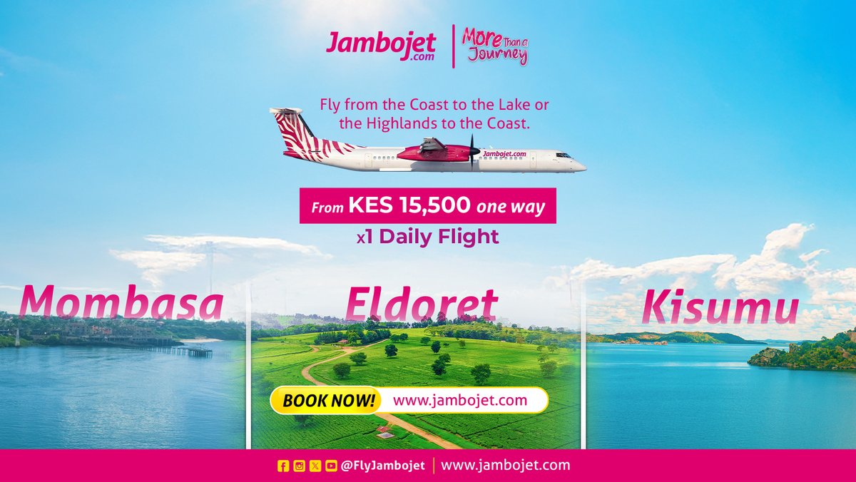 FlyJambojet tweet media