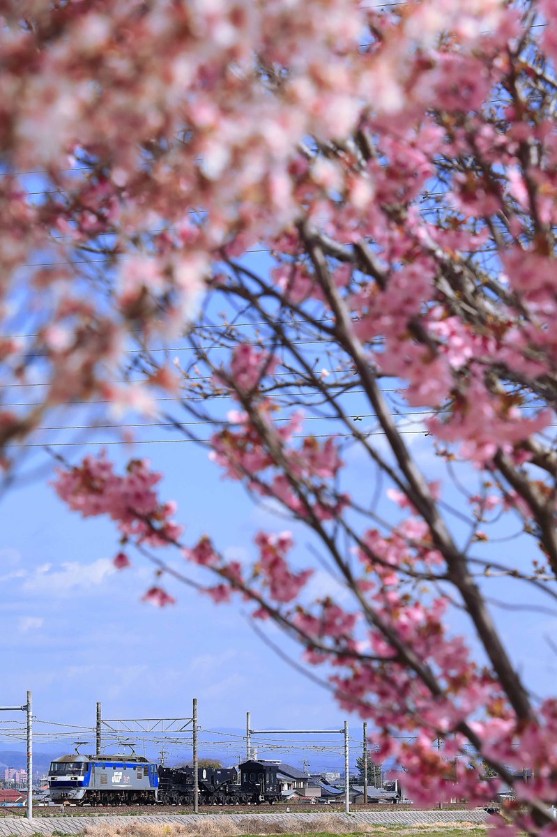 飯田線ゴハチ tweet media