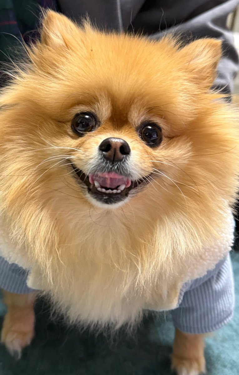 ㅁㅅㅊㅅ tweet media