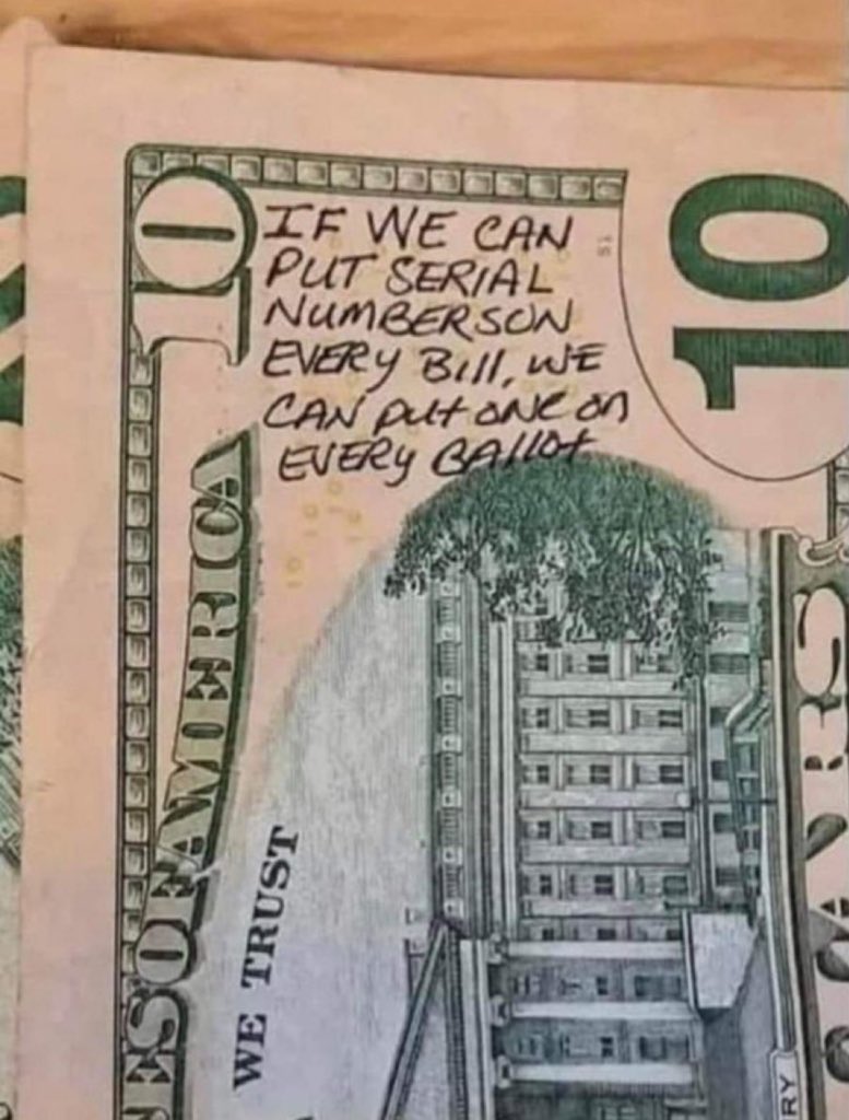 MAGA Voice tweet media