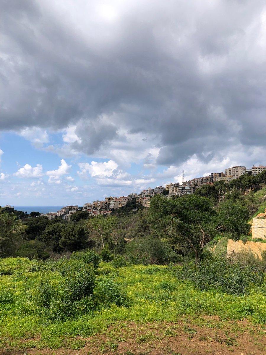 Marie Nassar tweet media