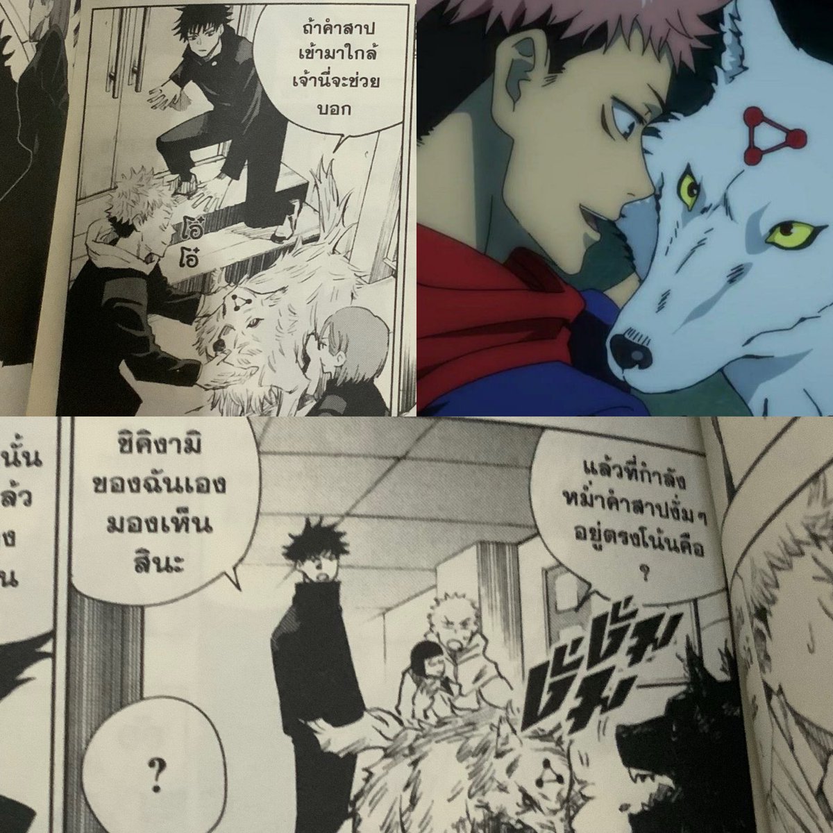 “แล้วที่กำลังหม่ำคำสาปง่ำ ๆ อยู่ตรงนั้นคือ” ㅠㅠ 
ร้องไห้กับความน่ารักของยูจิ คำพูดคำจาชีโคตรน่ารัก เชื่อว่าตอนนั้นก็อยากจับหมา แต่ช่วยรุ่นพี่อยู่ พอตอนทำภารกิจชีเดินปรี่ไปโอ๋เกียวคุเคน ยืนเม้มปากจับ ๆ ลูบ ๆ  ไอ่เมยังชะงักมอง 5555555555555