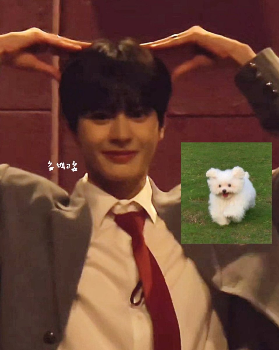 deedee (@coconutbreadie) / Posts / X