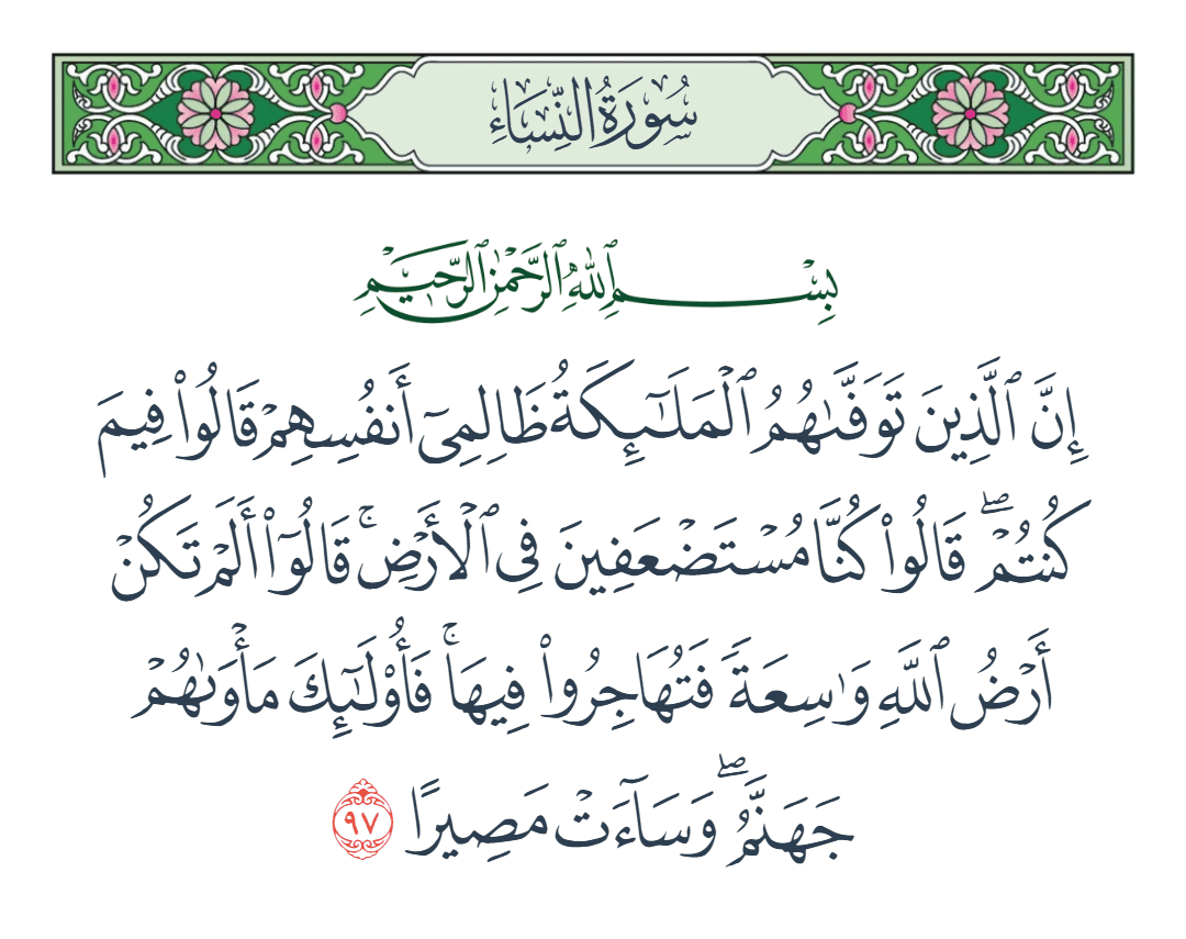 ابوحمد tweet media