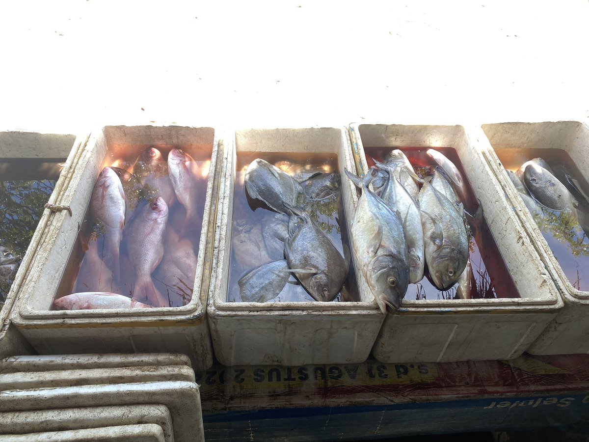 bleednectar's tweet image. #ready